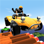 roller rider