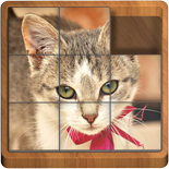 Sliding Blocks Kittens