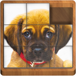 Sliding Blocks Puppies