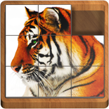 Sliding Blocks Wild Animals